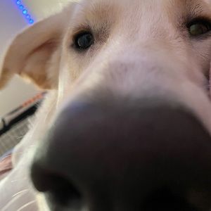 Meet your Posher, Katelynn